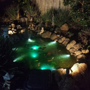 underwater leds, in a pond